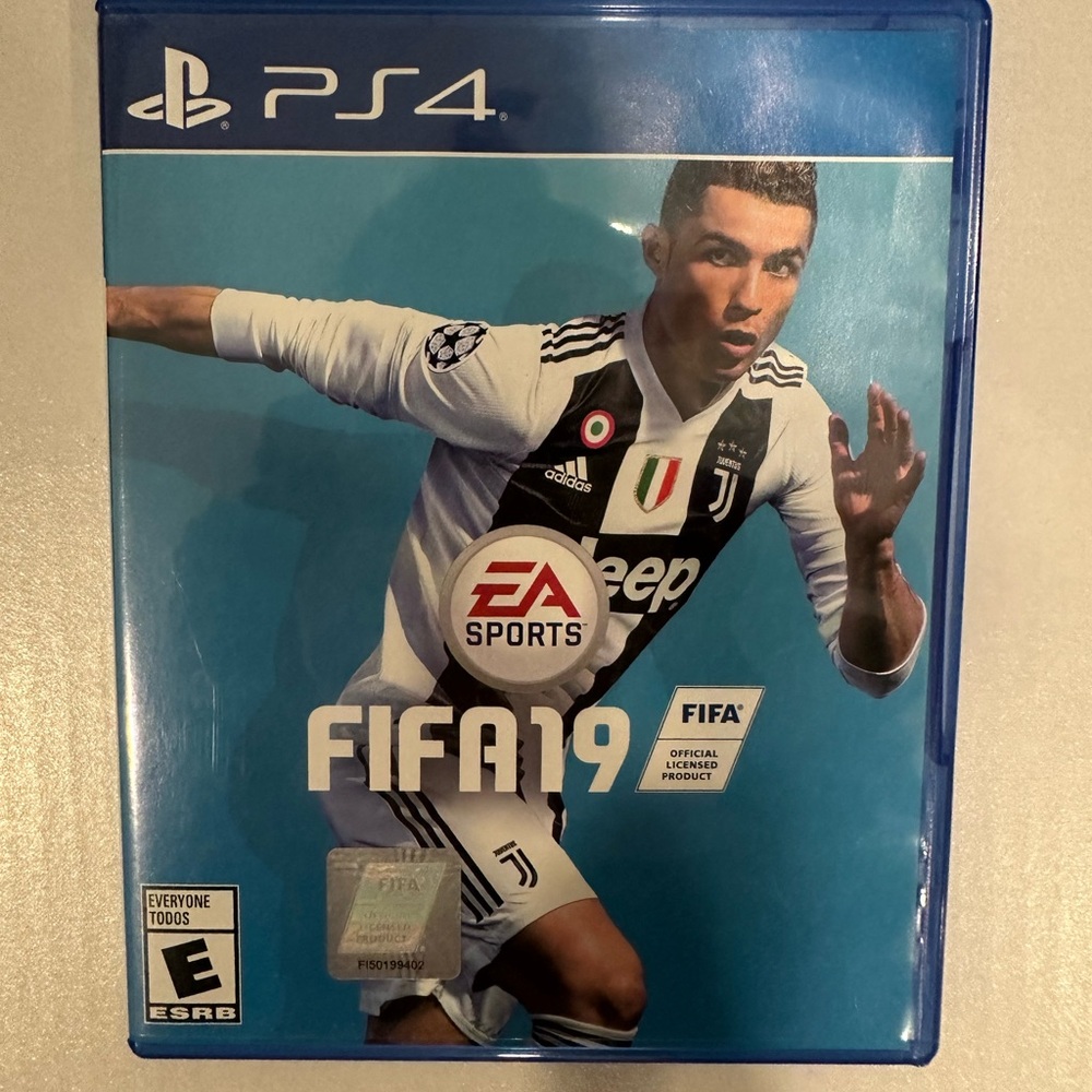 Sony PS4 FIFA 19 Video Game - Blue Cover